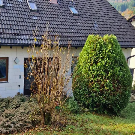 House Sunshine On The Slope *