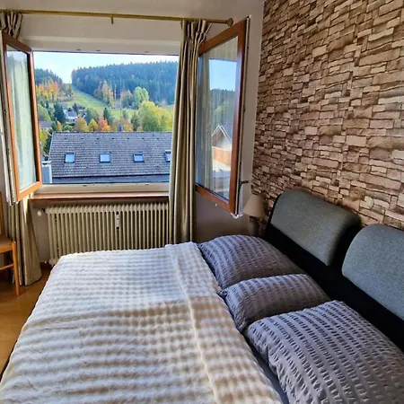 Appartement Haus Sonnenschein An Der Skipiste