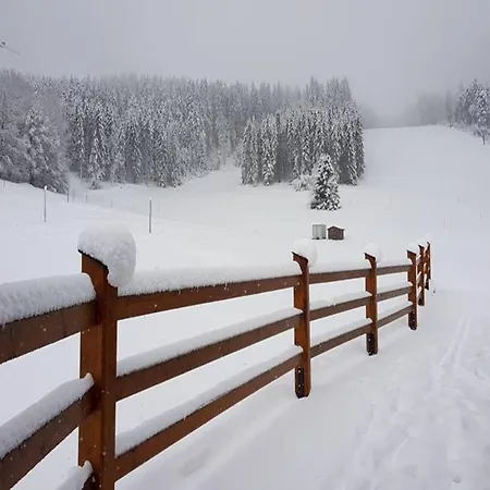 House Sunshine On The Slope Herrischried