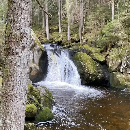 House Sunshine On The Slope * Herrischried