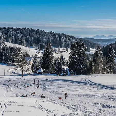 House Sunshine On The Slope