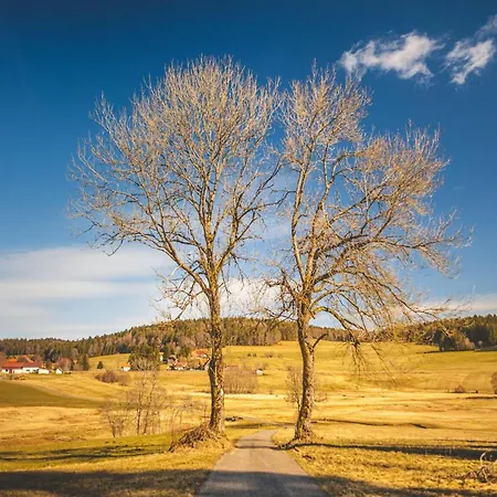 Haus Sonnenschein An Der Skipiste